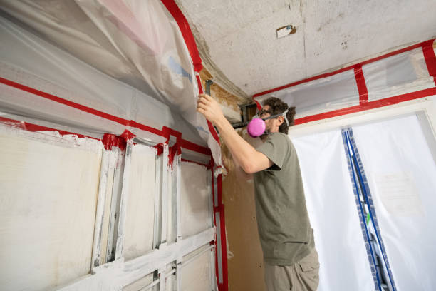 Mold Remediation for Vacation Homes