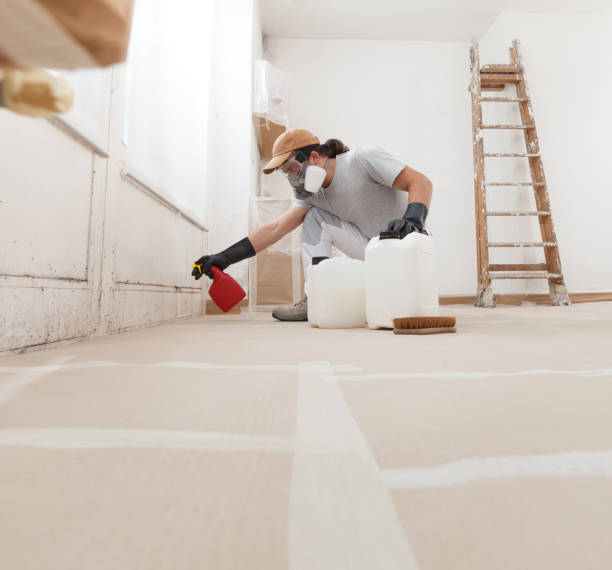 Mold Odor Removal Services in High Ridge, MO